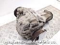 View Auto part Differential Assembly AUDI Q5 2009