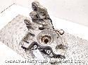 View Auto part RR Hub/Stub Axle Assembly LAND ROVER DISCOVERY SPORT 2018
